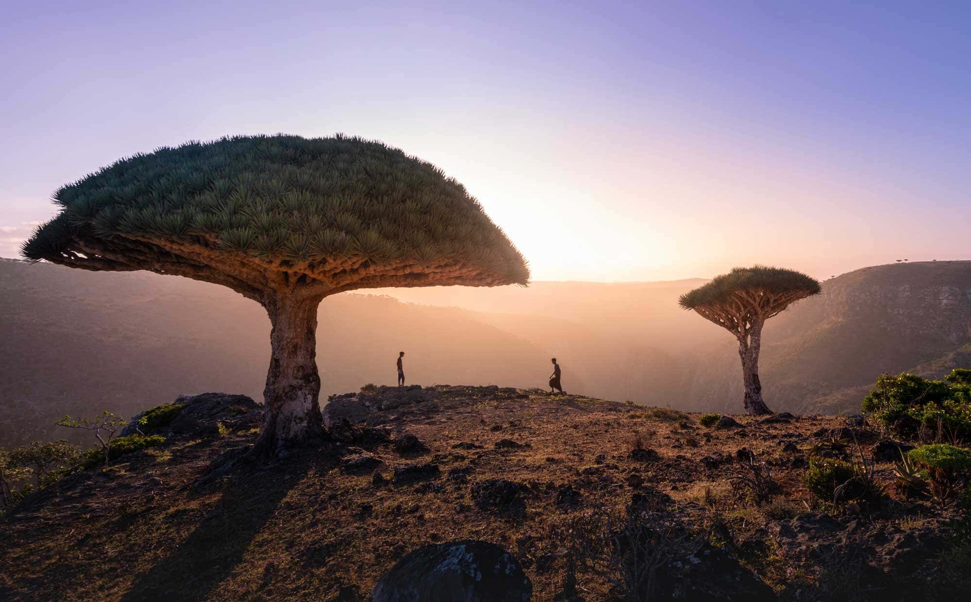 socotra yemen