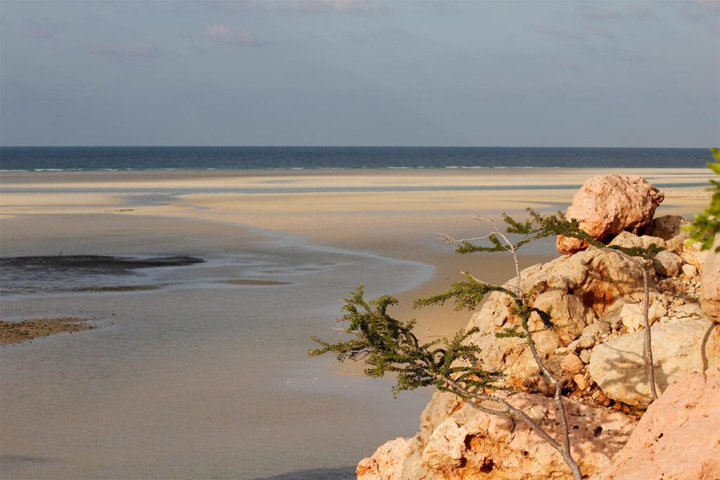 socotra-paesaggio-laguna-detwah