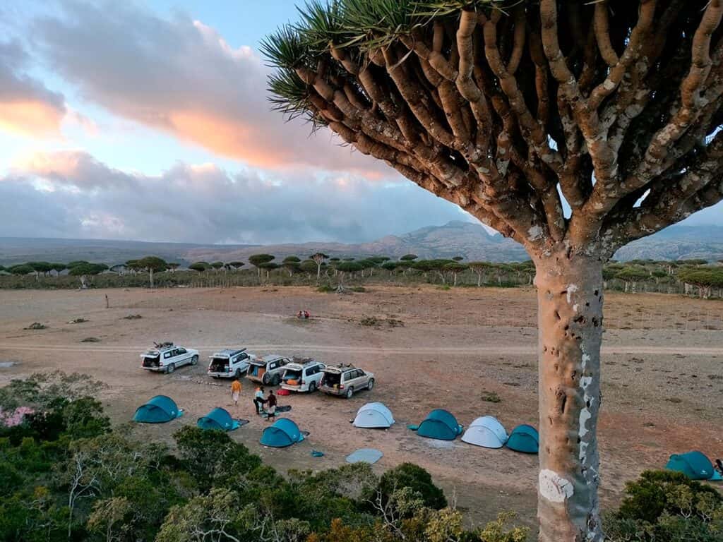 socotra-tour-altopiano-di-diksam-alberi-del-sangue-drago
