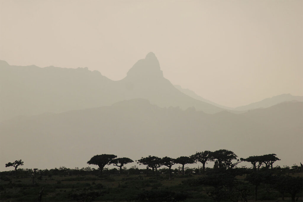 socotra-tour-altopiano-momi-11