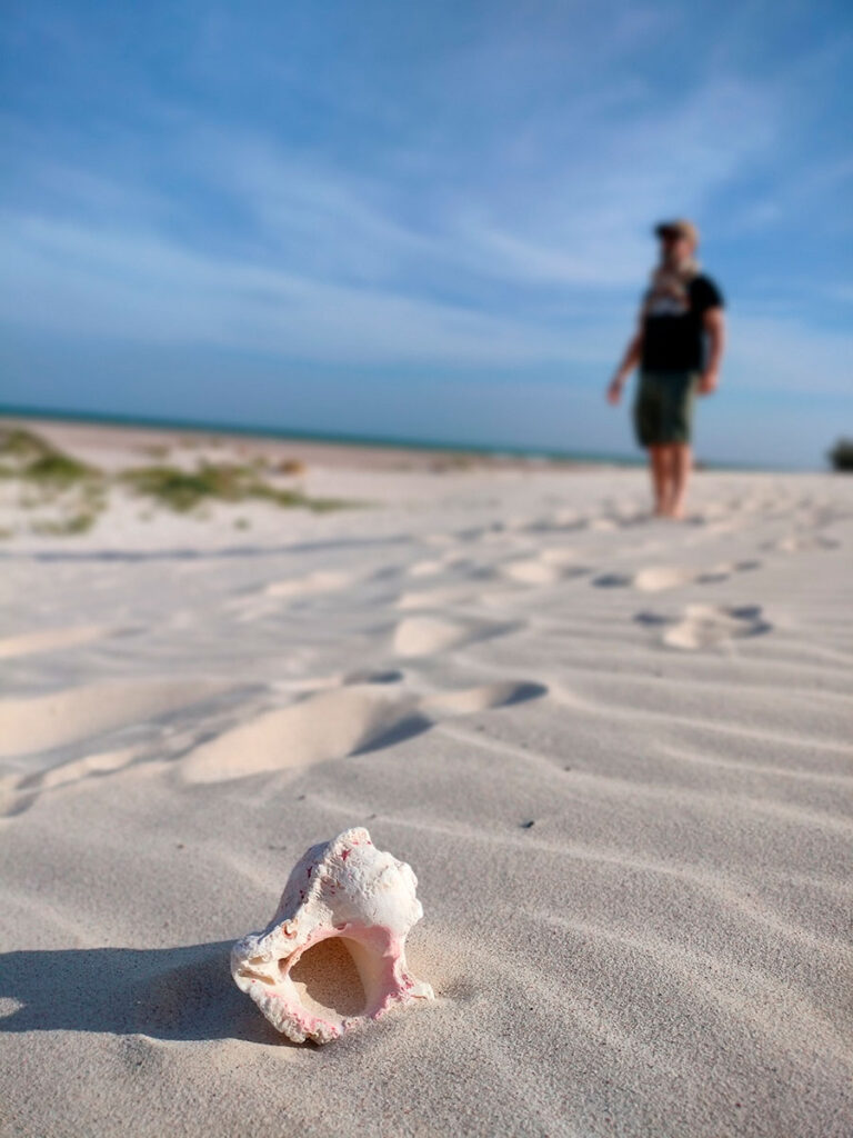 socotra-tour-omak-beach-01